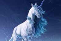 Photo de Licorne