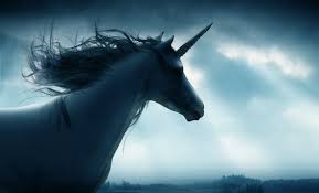 Photo de Licorne