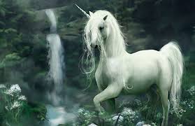 Photo de Licorne